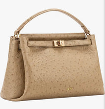 Load image into Gallery viewer, Luxury Hand Bag